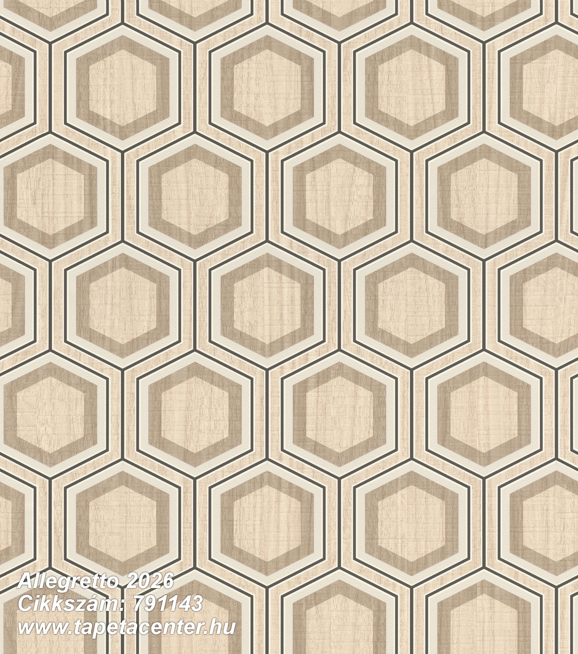 Dekor,fa hatású-fa mintás,geometriai mintás,bézs-drapp,lemosható,vlies tapéta 